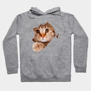 Alien cat Hoodie